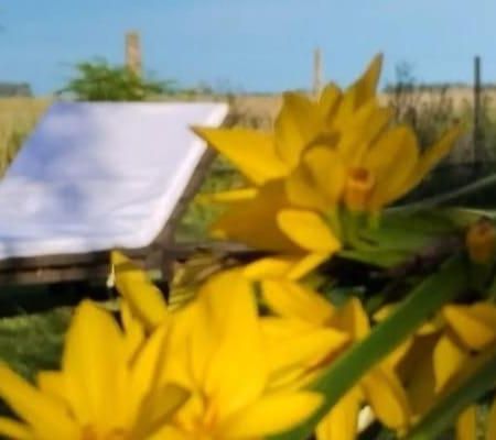 ペワホ La Narcisaヴィラ エクステリア 写真
