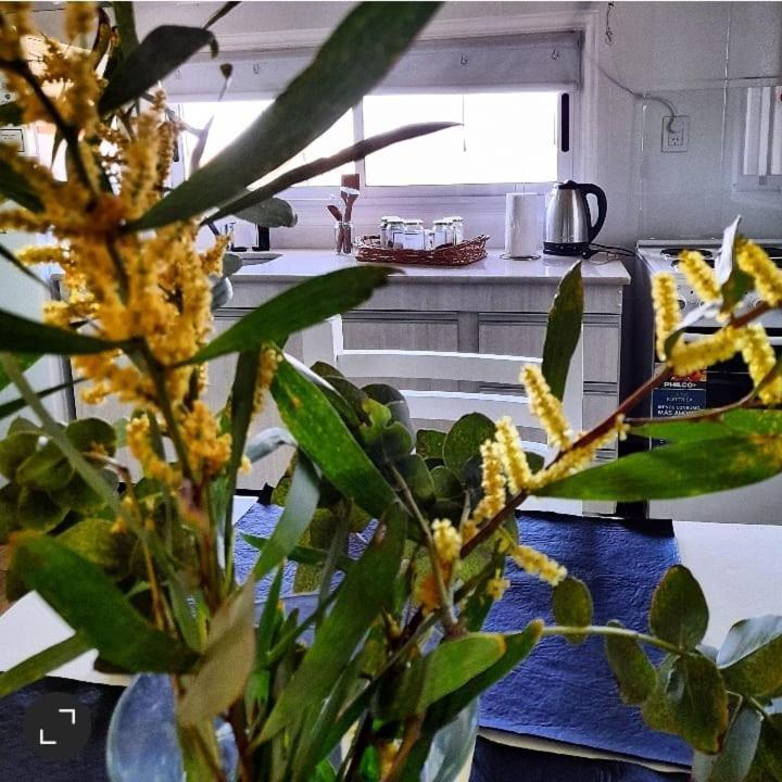 ペワホ La Narcisaヴィラ エクステリア 写真
