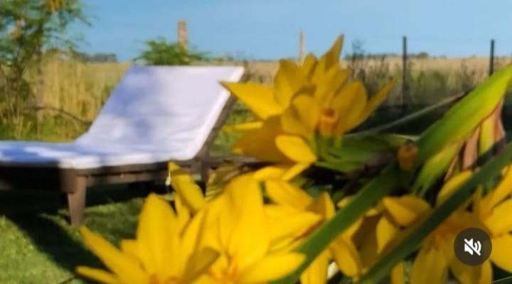 ペワホ La Narcisaヴィラ エクステリア 写真